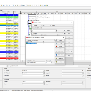 New Project Activity Code in P6