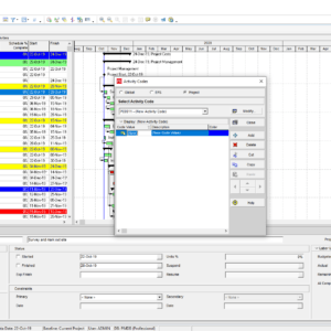 Modify Project Activity Code in P6